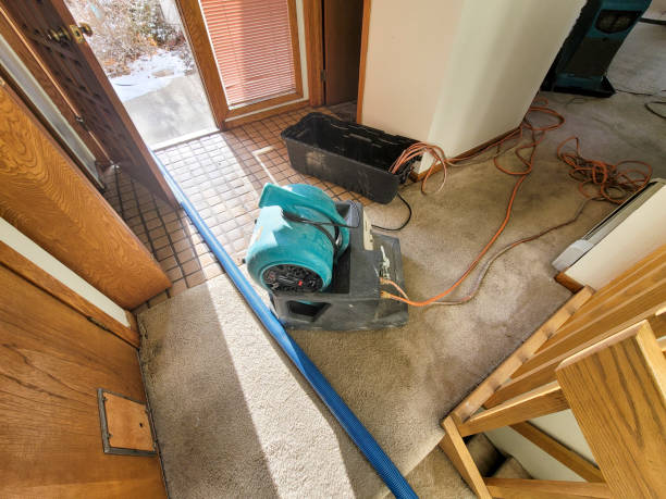 Best Carpet water damage restoration  in Locust Grove, OK