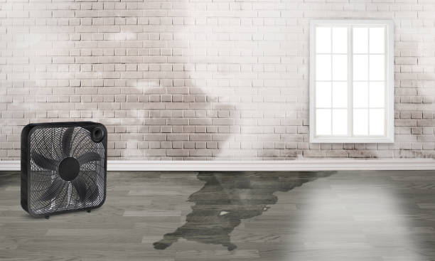 Trusted Locust Grove, OK Water damage restoration Experts