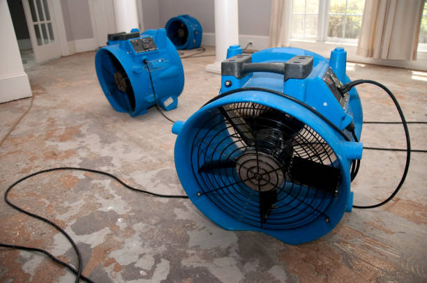 Best Water damage restoration specialists  in Locust Grove, OK