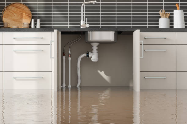  Locust Grove, OK Water damage restoration Pros