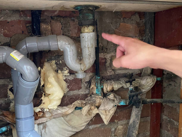 Best Basement water damage restoration  in Locust Grove, OK